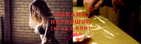 мдпв Лабытнанги