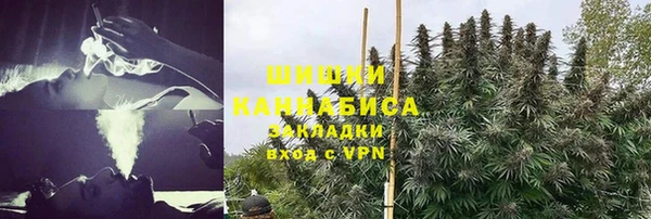 стаф Домодедово