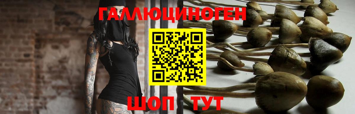 Псилоцибиновые грибы GOLDEN TEACHER  Вход с VPN  Подольск 
